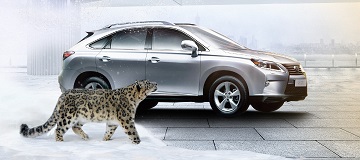 LEXUS / 2015 FOLLOW YOUR INSTINCT